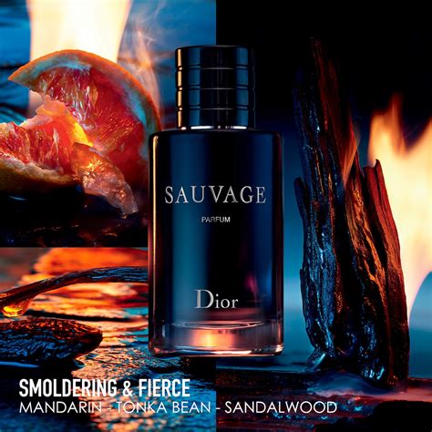 sauvage femme dior|sauvage dior for men.